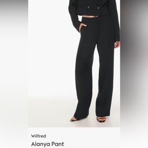 Aritzia Alanya Pant